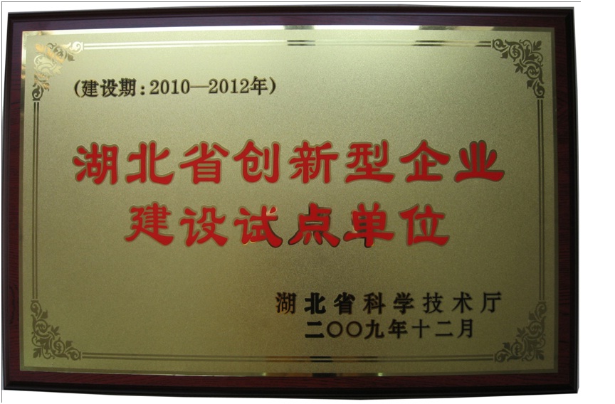 Certificate of Hubei province innovative company
